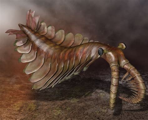 anomalocaris time period.